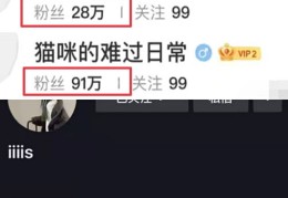 如何快速上热门涨粉直播秘籍揭秘！