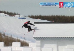 冬奥会场地障碍技巧直播,冬奥会场馆比赛