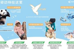 快手画眉秘籍，如何轻松上热门？