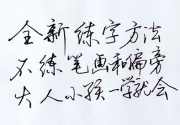 成人练字技巧直播教程，掌握技巧，轻松提升字迹水平