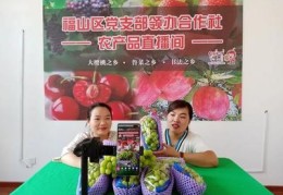农产品直播卖货方法和技巧,农产品直播带货的实施步骤