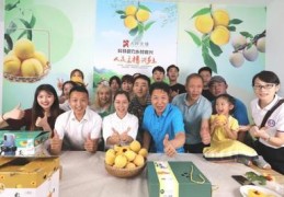 特产直播卖货技巧,地方特产如何利用直播打开销售市场