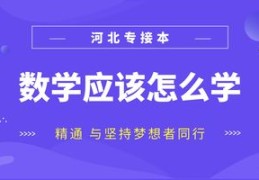 数学课直播技巧,直播课堂数学