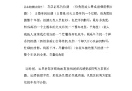 婚庆拍摄直播流程技巧,婚庆直播都需要啥设备