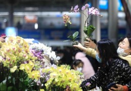 花店视频营销秘籍，如何拍摄热门视频吸引流量？