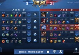 快手王者直播技巧详解，专业教程与策略分享