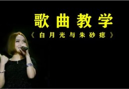 学习美声唱歌技巧和发声技巧直播,美声唱法速成