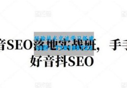 王通seo教程,王通的课程怎样