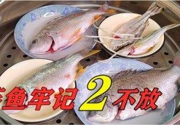 鱼儿直播技巧大全的简单介绍