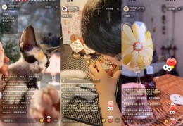直播解压方法技巧,我想看直播解压