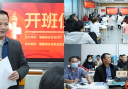 直播带货技巧和心理素质,直播带货技巧心得