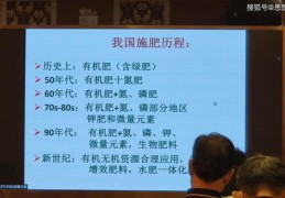 三农领域作者如何脱颖而出，上热门策略与实操指南