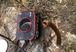 钓鳝鱼技巧直播视频,钓鳝鱼技巧直播视频大全