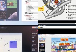 学习生物技巧直播,怎么学好生物视频