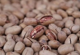 新疆干果直播秘籍与选购指南，干果品质与挑选技巧全解析