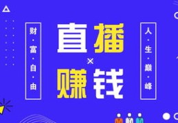 视吧直播赚钱技巧,视吧直播最新消息