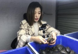 直播卖龟有什么技巧吗,淘宝直播买龟怎么买