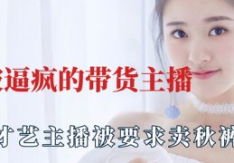 网红直播公司直播卖货技巧,专业直播卖货公司