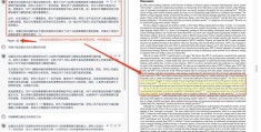 如何迅速发表热门期刊论文，策略与技巧全解析