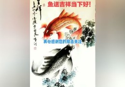 直播金鱼技巧分享，如何打造吸引人的金鱼直播间