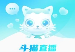 劲歌新手直播技巧是什么,劲歌是什么意思
