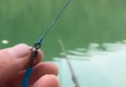 钓鱼直播技巧教学,钓鱼直播是什么意思