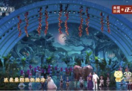 大象直播技巧舞蹈,大象舞蹈视频