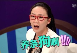 周文强分享，直播上热门的秘诀与策略