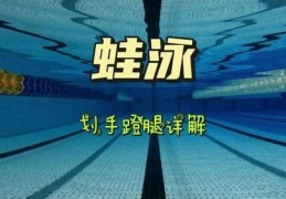 游泳技巧直播与视频教程，全面解析游泳技巧