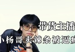 小杨哥直播带货技巧与超强带货能力揭秘