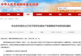 揭秘热门赚钱途径，社会热门行业与赚钱机遇探索