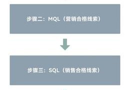社群营销的十大步骤,社群团购怎么快速做起来