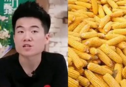 玉米直播拍摄技巧,玉米拍照技巧