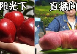 果树苗直播销售技巧与策略，果苗直播指南