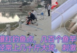 鱼竿如何上热门
