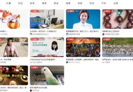 全民小视频热门攻略，涨粉丝关注技巧全解析