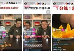 湖北直播技巧定制,湖北直播平台