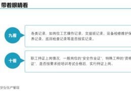 大鱼号提升推荐量与快速上热门策略指南