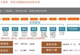 淘宝直播复盘详解，技巧与写作指南