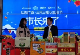 县长直播卖货技巧,县长直播卖货技巧与方法