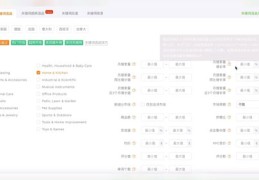 亚马逊直播间选品策略与电商直播指南