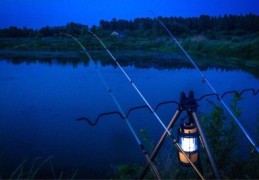 夜钓技巧直播,夜钓真实视频