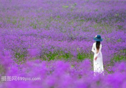 花海唱歌技巧直播,花海教唱视频