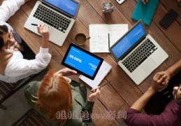 seo顾问推推蛙,seo推广效果怎么样