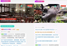 小羊直播抽奖技巧,小羊羊怎么买