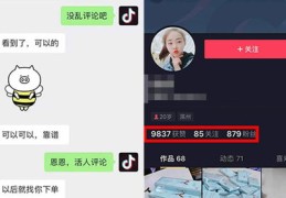福建抖音直播点赞攻略，提升主播人气的方法与技巧