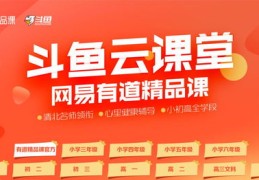 网易直播弹幕技巧,网易云音乐直播弹幕