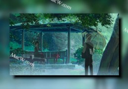 画中画直播技巧,视频直播画中画