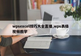 wpsexcel技巧大全直播,wps表格视频教学