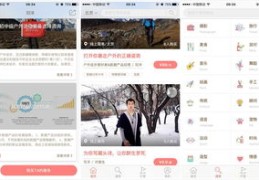 直播中的数字技巧简介
